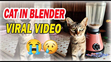 cat in the blender video twitter|@catinblender